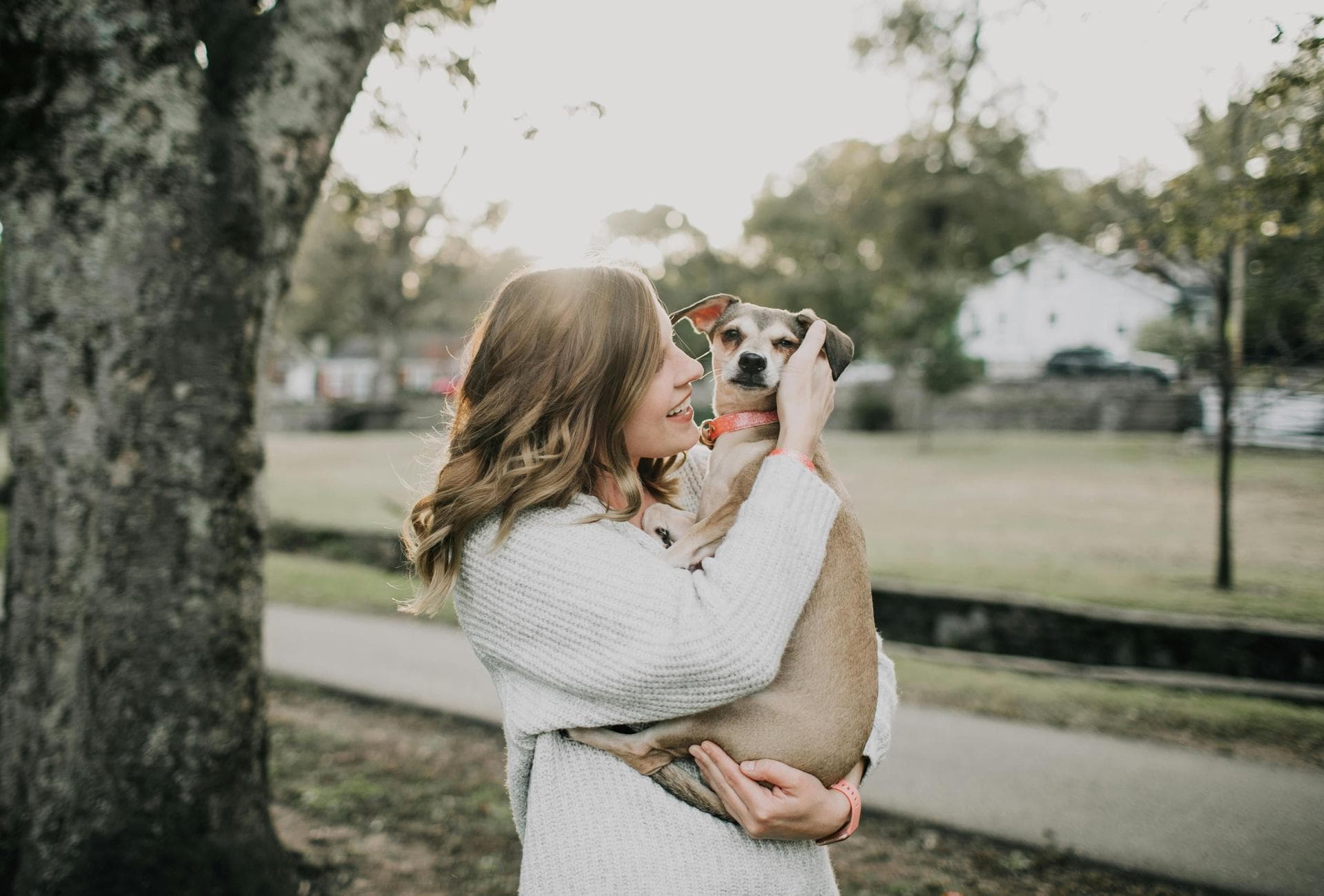 Dog & Cat Vets in Worland